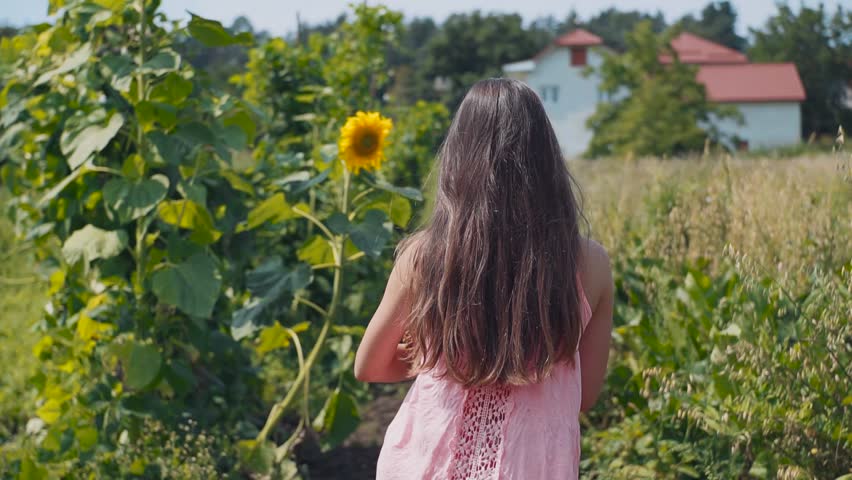 Charming Caucasian child with apples walking through the vegetable garden. Nice young girl standing near sunflowers, smiling. Village. Outdoors.