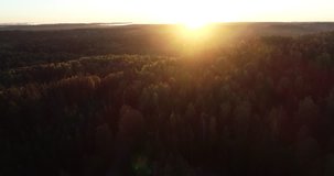 Aerial footage video of foggy morning. Flying over forest. Sunrise time.