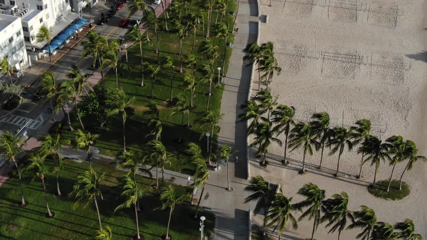 Aerial Drone Views Flying South To North Over Miami City, South Beach Florida, Palm Trees and Beaches, Tropical Destinations, Open Sandy Beach 