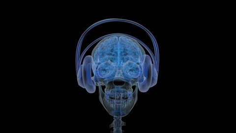 X-ray of head with headphones on.
Animation of moving skull with headphones.