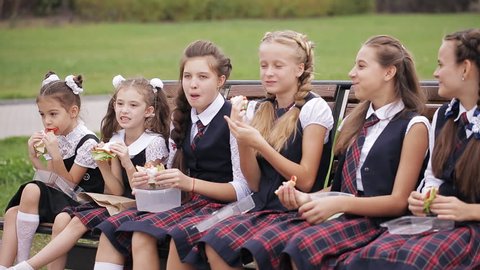 Students On Bench Park Eating Sandwiches Stock Footage Video (100% ...