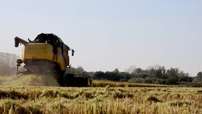 Combine the collection field - stock video. A combine harvester slowly makes its way along a field of rice.