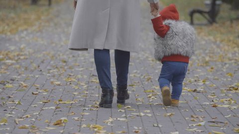 Стоковое видео: Baby girl with mother walk in lonely autumn alley. Autumn. Autumn leaves background. Autumn trees with colorful leaves. Woman with long hair.
