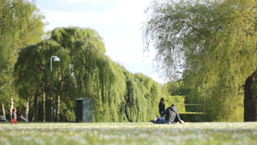 Green Natural landscape  Enjoy in Sunny green leafs 1920x1080 full hd footage