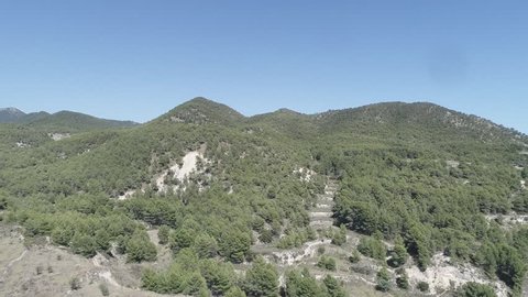Drone shot mountain woods