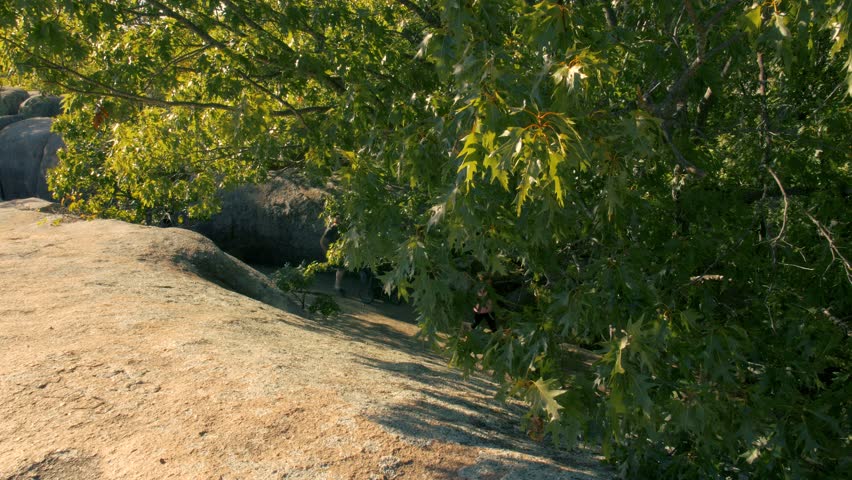 Elephant Rocks State Park
