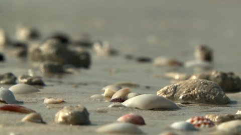 Pretty pebbles and shells on a yellow sand beach in Dubai in the United Arab Emirates with waves gently lapping onto the shore