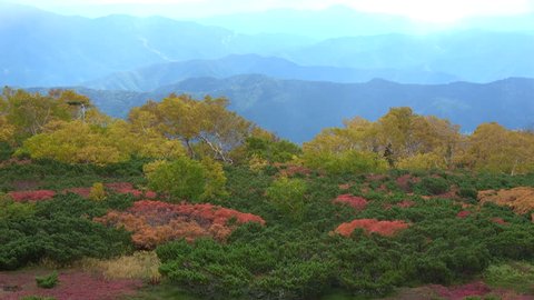 Autumn leaves of mountain called Norikura in Nagano prefecture of Japan.