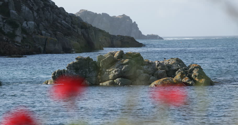 Isles of Scilly looking across the sea onto the rocks with flowers in the foreground moving in and out of focus. 
