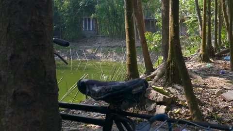 Village pool with bike resting on tree in Sylhet in Bangladesh