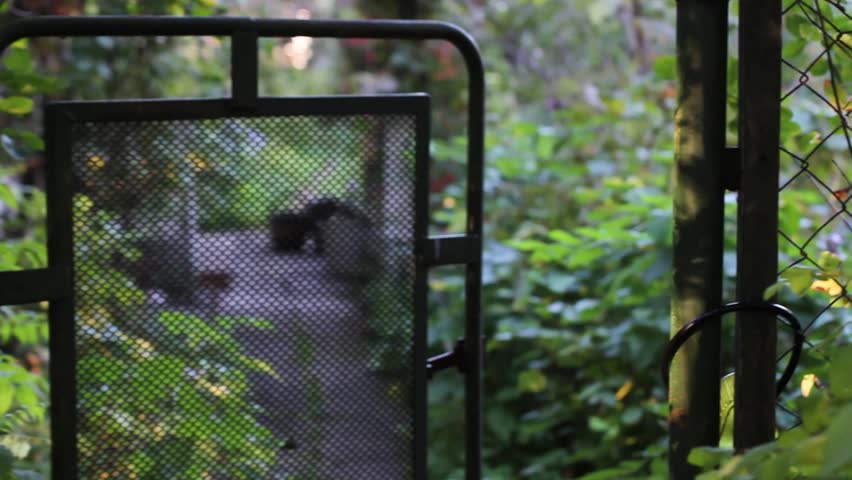 open the gate to the garden