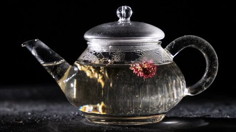 Florescence of Red Blooming Tea