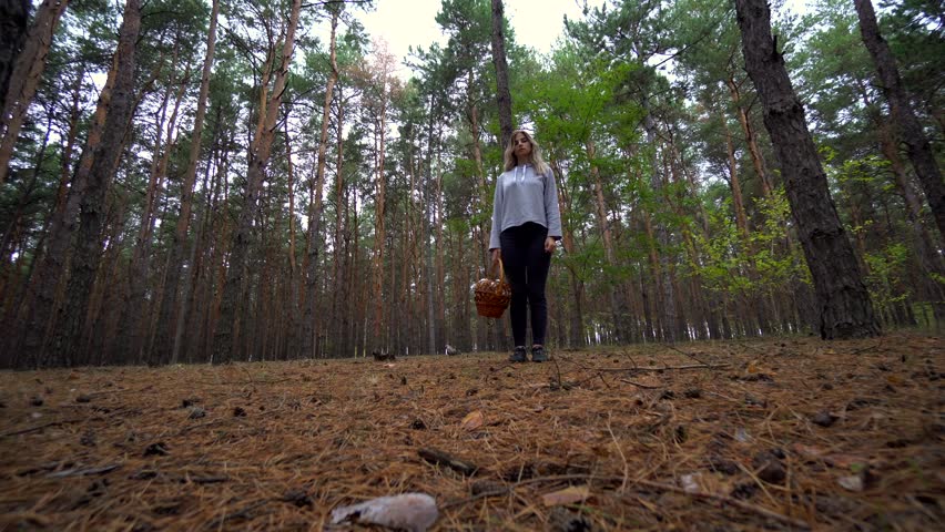Beautiful walk in the forest. The girl went into the woods for mushrooms. Wild nature.