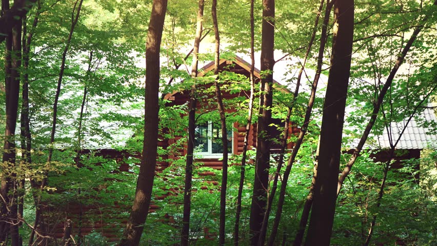 Wooden house in the forest. A house in the middle of green trees. A quiet place to relax in the bosom of nature