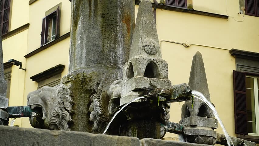 Details of the Grande Fontana in stone with lion-shaped decorations, in a public square in Viterbo