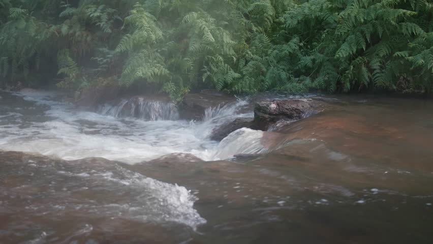 hot spring stream, Rotorua, New Zealand