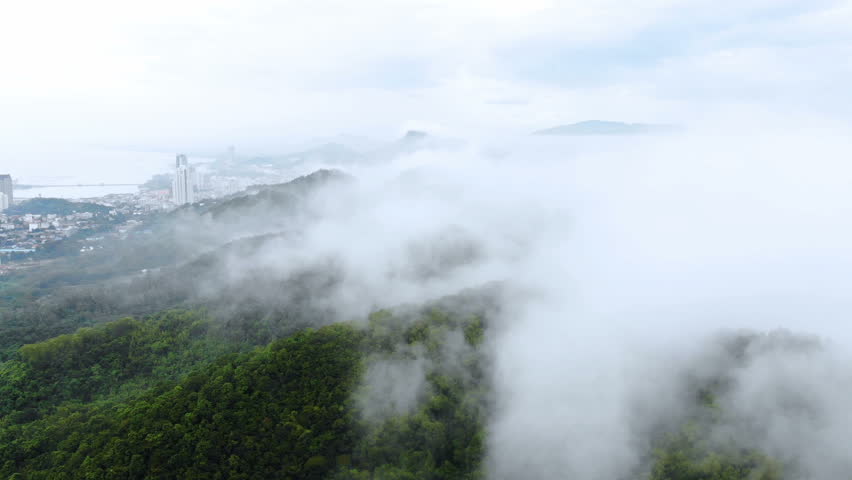 Aerial view of fog covered trees in the Valley beautiful autumn travel concept.