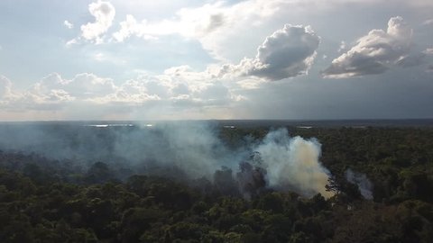 Slash-and-burn agriculture in Guiana. Close drone shot over a smoke plume in amazonian forest. 