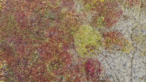 Aerial drone view of rugged landscapes in Iceland