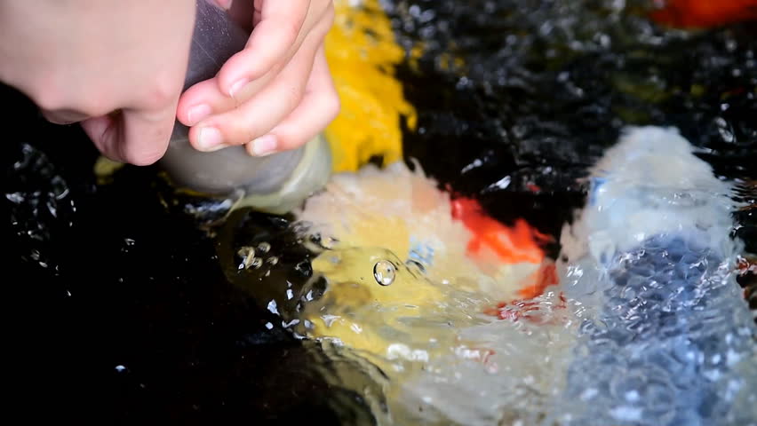 Hand of a child  hold a feeding bottle for  crayfish in the pond.