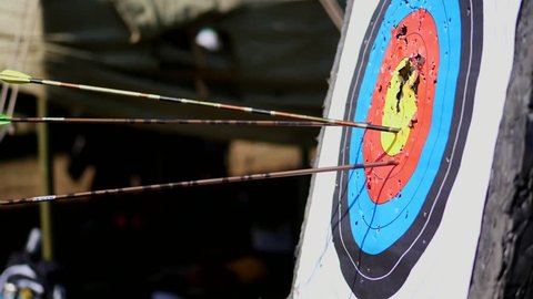 An outdoor target for shooting with a bow and arrows, for archery arrows on a summer day , in the Park. Archery target , Hit the goal. target board and arrow shoot.