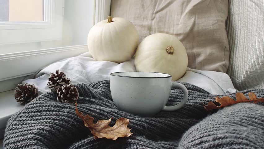 Cozy Autumn morning breakfast in bed scene. Steaming cup of hot coffee, tea standing near window. Fall, Thanksgiving concept. White pumpkins, pine cones and oak leaves on wool plaid. Loopable. Royalty-Free Stock Footage #1017514768