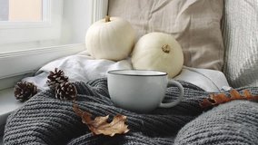 Cozy Autumn morning breakfast in bed scene. Steaming cup of hot coffee, tea standing near window. Fall, Thanksgiving concept. White pumpkins, pine cones and oak leaves on wool plaid. Loopable. - Powered by Shutterstock - Get 15% off with code: PIKWIZARD15