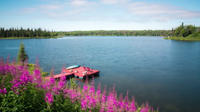 Fireweed Timelapse on Lake with Dock