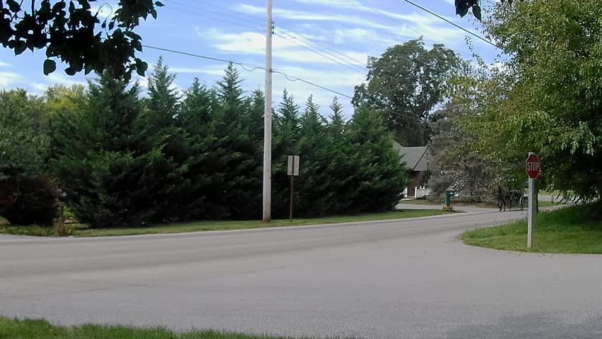 Amish Transportation Type Buggy Pick Up