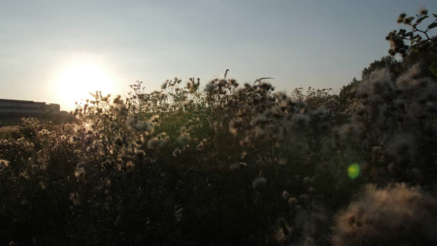 Beautiful city skyline seen during sunset over river in Warsaw, Poland.