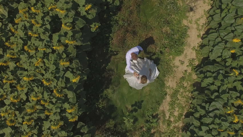 4K aerial footage Groom and bride walking in a field full of sunflowers