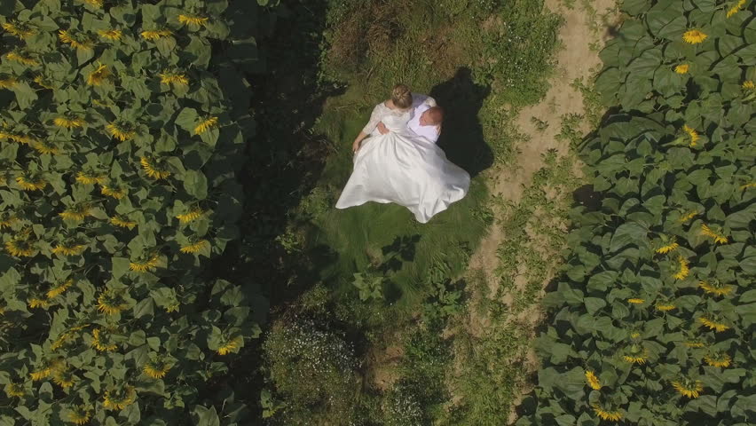 4K aerial footage Groom and bride walking in a field full of sunflowers