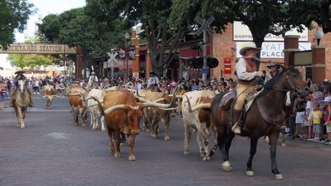 FORT WORTH, TEXAS / USA - JULY 2018: The Fort Worth Stockyards, a historic district in Fort Worth, Texas, United States of America. Cowboys riding horses and driving cattle for tourists