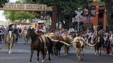 FORT WORTH, TEXAS / USA - JULY 2018: The Fort Worth Stockyards, a historic district in Fort Worth, Texas, USA. Cowboys riding horses and driving livestock for a tourist show 