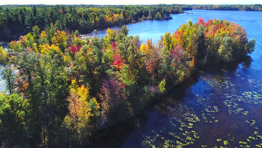 Autumn in Northern Wisconsin, colorful scenic treetop drone flyover of amazing forests and river.