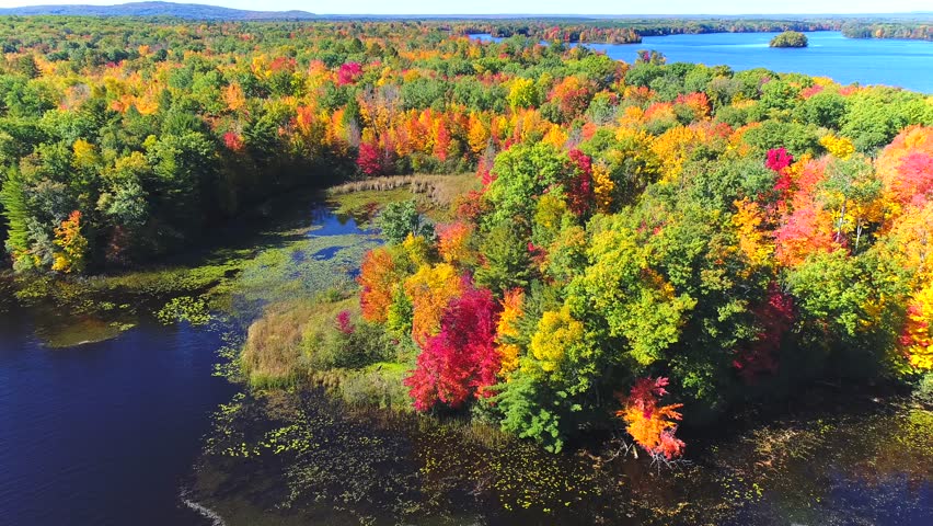 Autumn in Northern Wisconsin, colorful scenic treetop drone flyover of amazing forests and river.