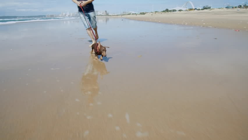 Tracking shot of dachshund dog and man running on the beach with Durban city in the background.