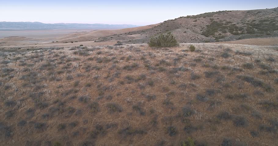 Aerial over the rolling hills of Carrizo Plain Monument at sunset. San Andreas fault runs through the park.
