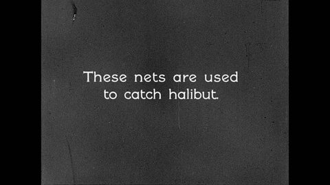1930s: UNITED STATES: men catch halibut with nets. Halibut nets on boat. Men unload fish on deck