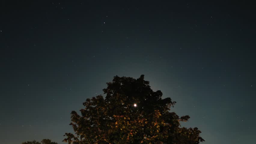 Moving stars and the moon behing a tree