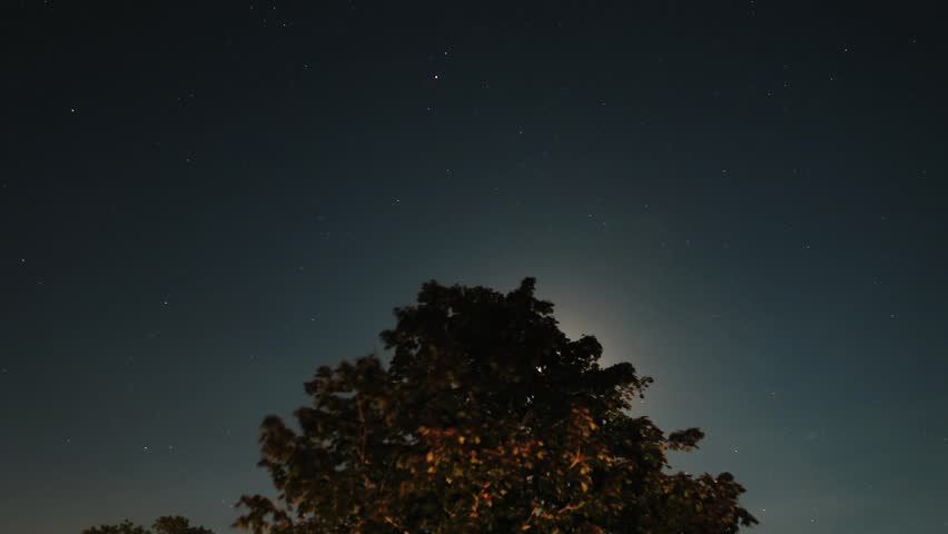 Moving stars and the moon behing a tree