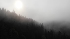 Mountain morning fog background