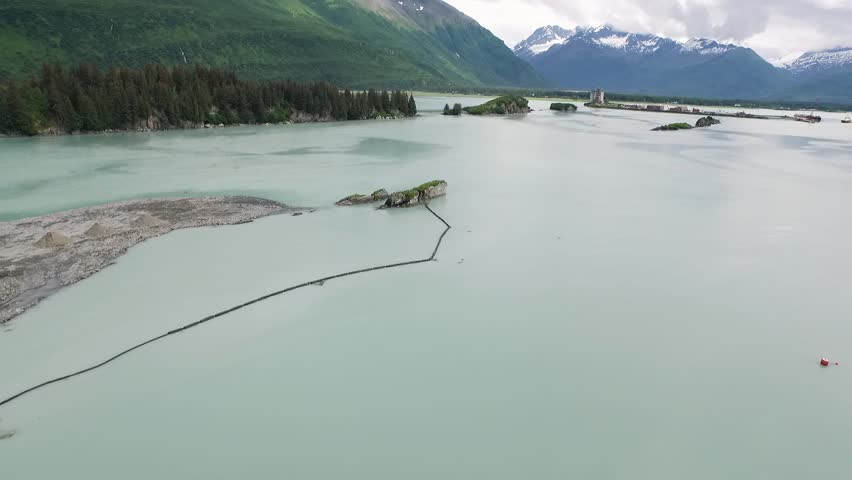 Waterfront in between small islands, with rock and bright green vegetation with snowy mountains in the background in Valdez Alaska (drone shot)