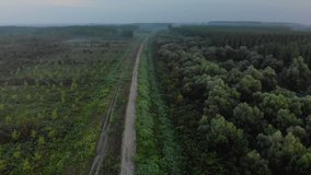 4K cinematic aerial drone slow footage of a deep green dawn misty countryside and a rural dirt road with a girl walking alone with a spooky jeep car following her next to a thick forest and swamps