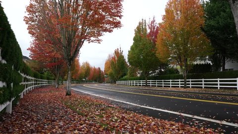 Portland, Oregon/USA-10 09 2018: Falling leaves and autumn colors near George W. Otten Park of Bethany
