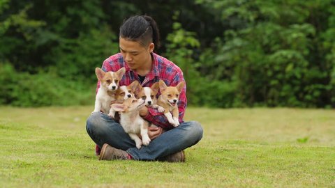 One young asian man holding his five little lovely Welsh Corgi puppies in arm and kiss them outdoor in the lawn, 4k วิดีโอสต็อก