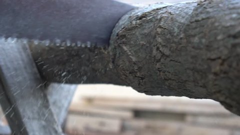 Man sawing wood. Sawdust Flying Under The Handsaw In Slow Motion