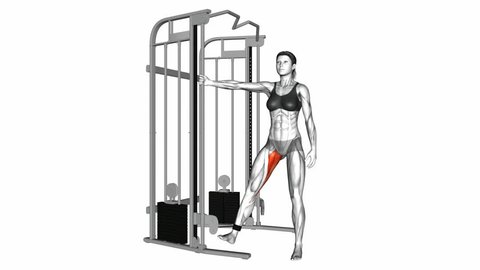 Cable Hip Adduction Exercise Anatomy Fitness Stock Footage Video (100% ...