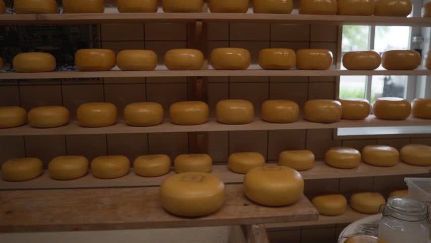 Cheese resting on shelves in a farm
