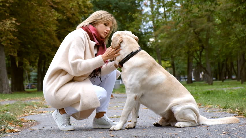 A young beautiful blonde plays with her labrador in the fall in the park.